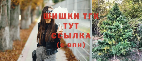герыч Каменка