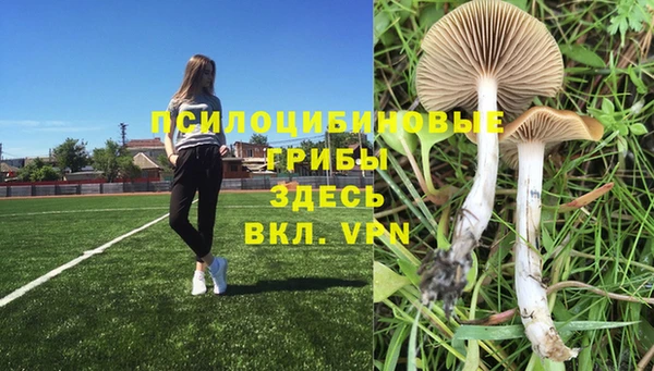 mdma Каменногорск