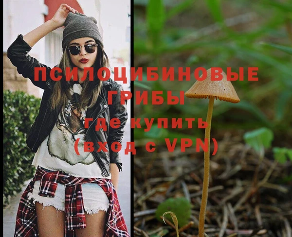 амф Карпинск