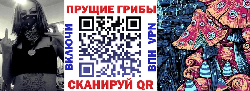 Псилоцибиновые грибы Psilocybe  Купить закладки  Калининград 