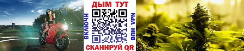 Шишки марихуана ГИДРОПОН  Купить  Калининград 